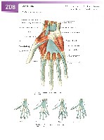 Sobotta Atlas of Human Anatomy  Head,Neck,Upper Limb Volume1 2006, page 215